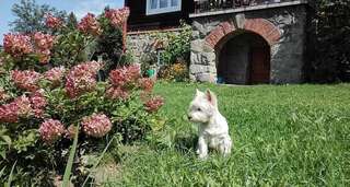 Проживание в семье Willa Marylka Пивнична Вилла с видом на сад-7
